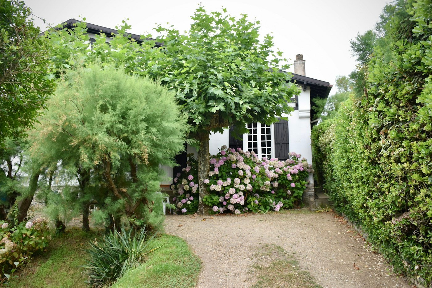 Maison de vacances avec hortensias, Bidart